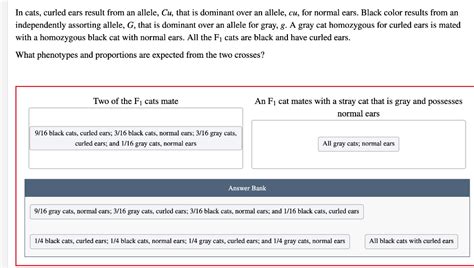 SOLVED:In cats, curled ears result from an allele ( C u.
